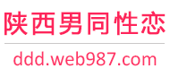 陕西男同性恋服务网